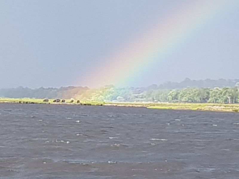 Rainbow on the hippos 雨后彩虹降在河马上