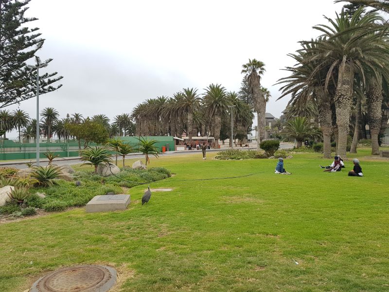 Green area in Swakopmund city center 斯瓦科普蒙德市中心绿化带