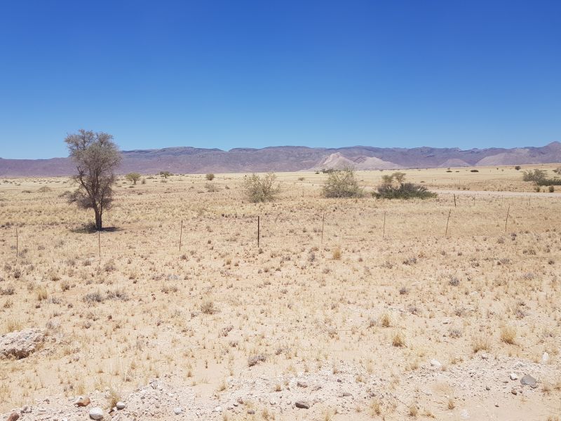 On the way to Sossusvlei, quiet beauty 到索苏维来风景，寂静的美