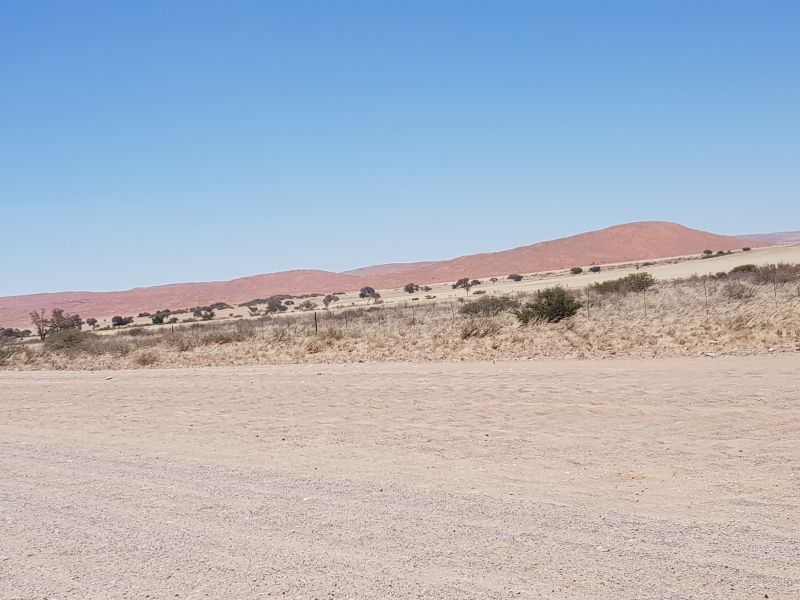 A colorful desert 有颜色的沙漠