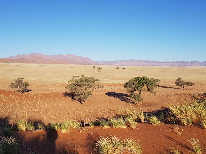 A colorful desert dusted with light green grass 美丽沙漠撒层浅绿寸草