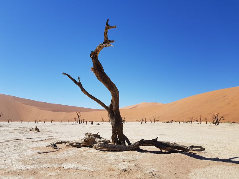 Death Valley – He dies standing tall 死亡谷 – 不向死亡低头