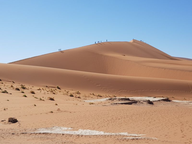 Ants on sand hill 沙丘上蚂蚁