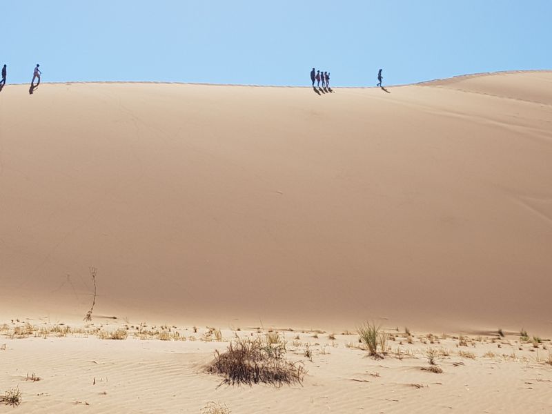 One could never have too much of the sand 玩不腻的沙