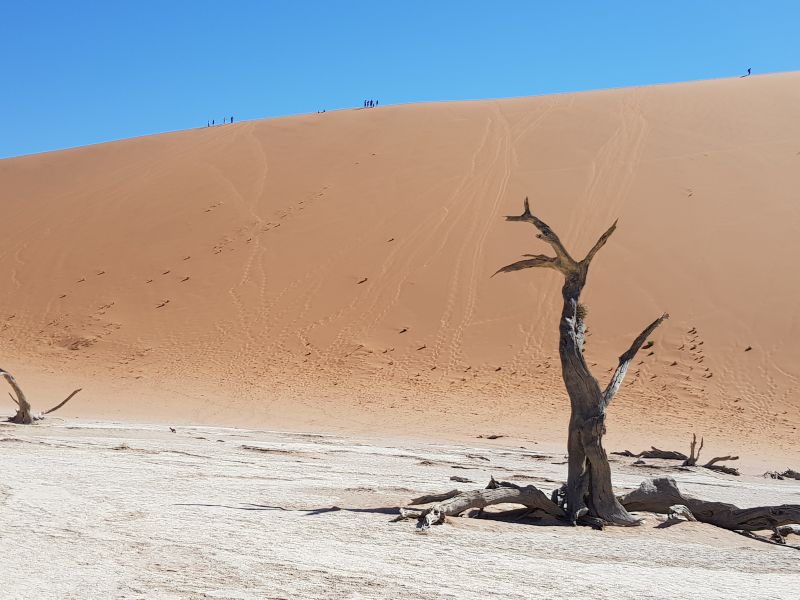 Death Valley – They are in this together, what a scorched earth 他的靠山也自身难保， 都那么干枯