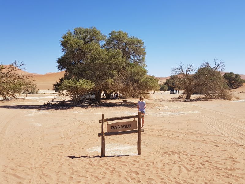 Siesrem, famous for dunes and death. Siesrem, 闻名的沙丘和死谷