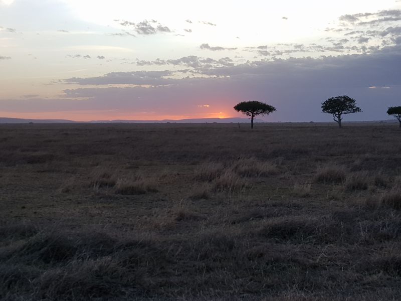  Serengeti sunset 塞伦盖地日落 