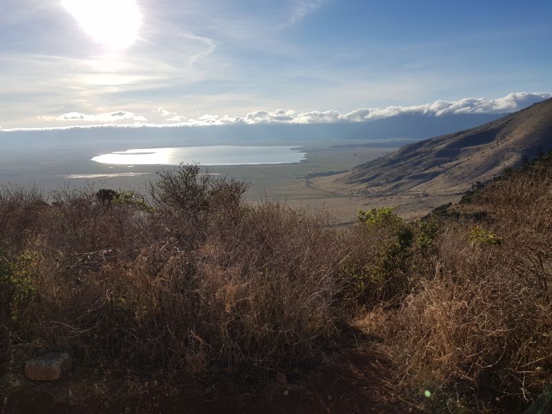 View of Ngorongoro Crater from the top 恩戈罗火山口