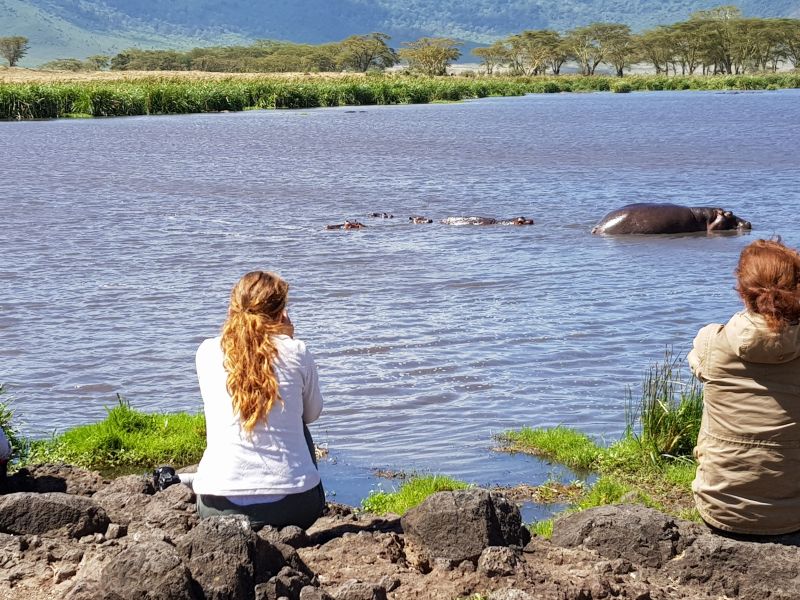  Tourists watching hippos at close distance in Ngorongoro 游客在恩戈罗近距离观赏河马 