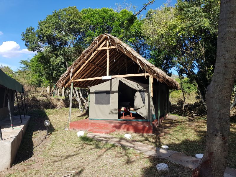 Masai mara camp site 马赛马拉营地