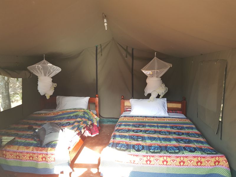 Shared room at the Masai mara campsite 马赛马拉营地帐篷房