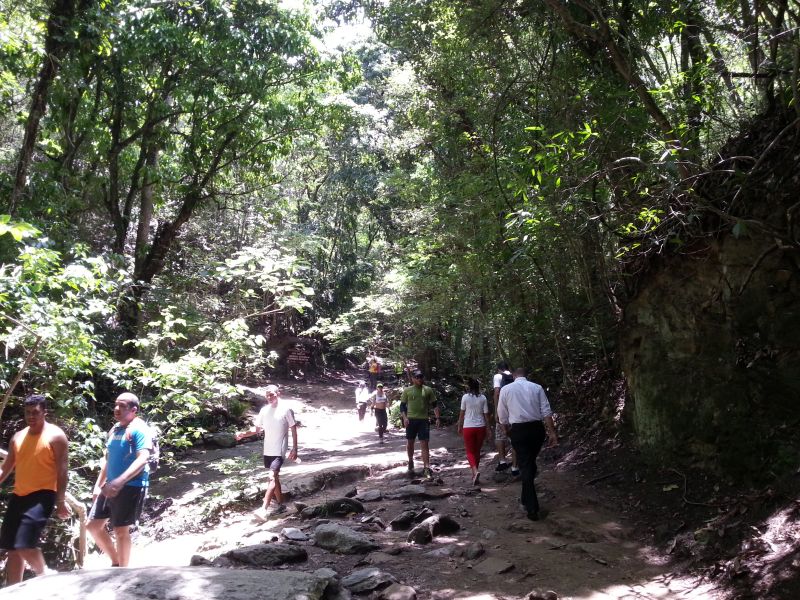 Hiking up the hill 往上爬山