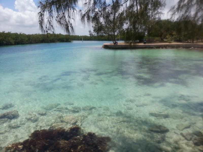 Serene Cancun lagoon 坎昆平静清澈泻海