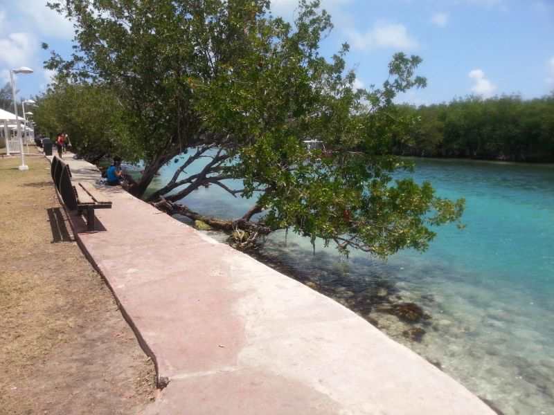 Serene Cancun lagoon 坎昆平静清澈泻海