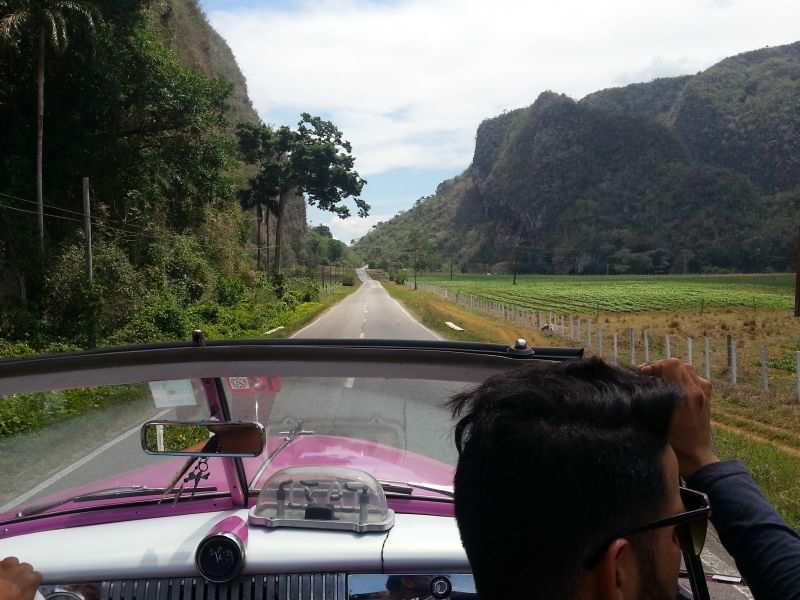 A day putting outside Havana in a pink convertible 敞篷车哈瓦那外郊游