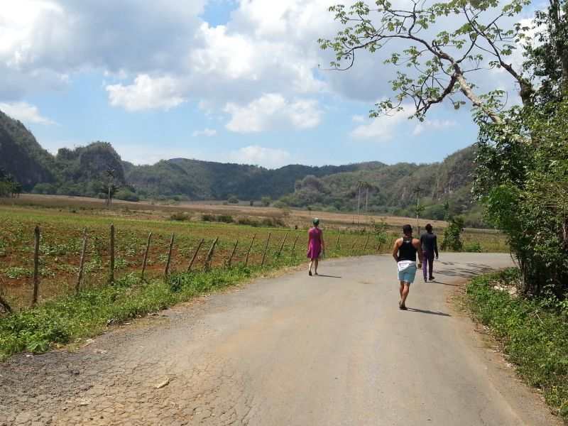 A walk in rural Cuba 古巴郊外徒步游