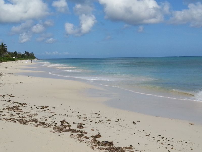 Bahama beach 巴哈马海滩