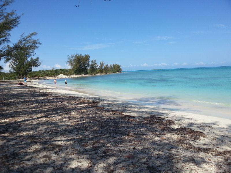 Bahama beach 巴哈马海滩