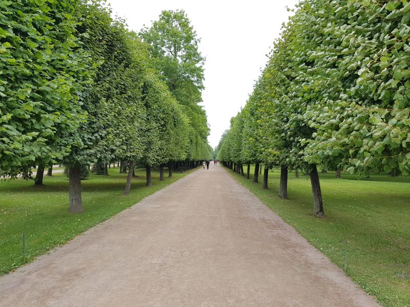 Peterhof Palace park 彼得霍夏宫花园