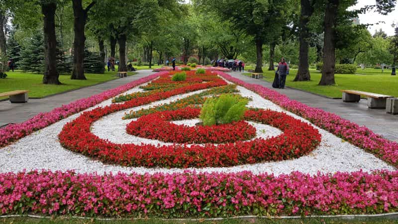 Garden inside the Kremlin walls 克里姆林宫围墙内花园