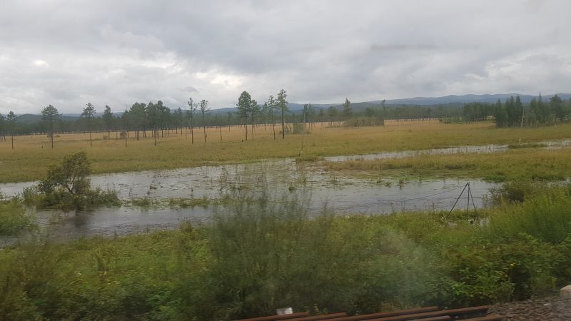 View from my third class cabin window, Chita to Vladivostok  赤塔到符拉迪沃斯托克三等舱窗外草原风景