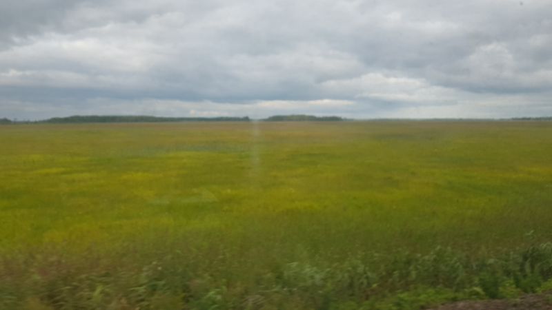 View from my third class cabin window, Chita to Vladivostok  赤塔到符拉迪沃斯托克三等舱窗外草原风景