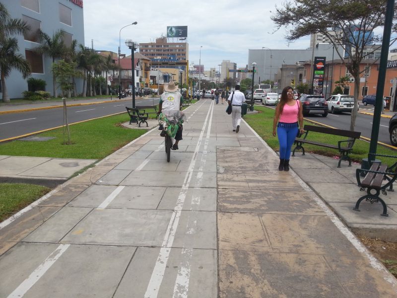 Pedestrian and cycling lane on main street 中心大道中的自行车和人行道