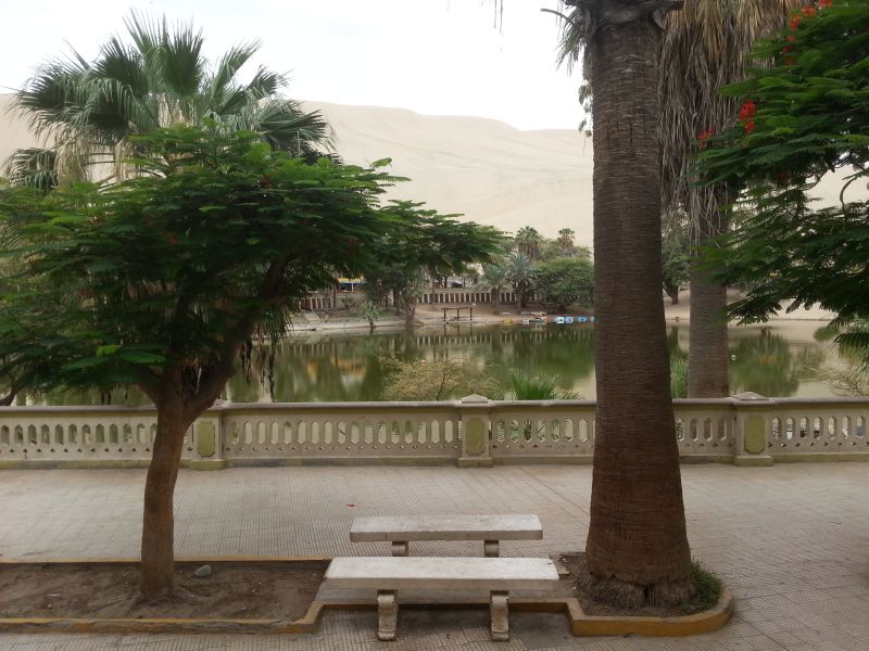 Huacachina oasis - restaurants and pubs surrounding the lagoon 围绕瓦卡奇纳绿洲的餐厅和酒吧