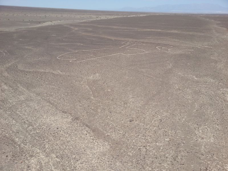 Nazca lines in the desert 纳斯卡沙漠的地画