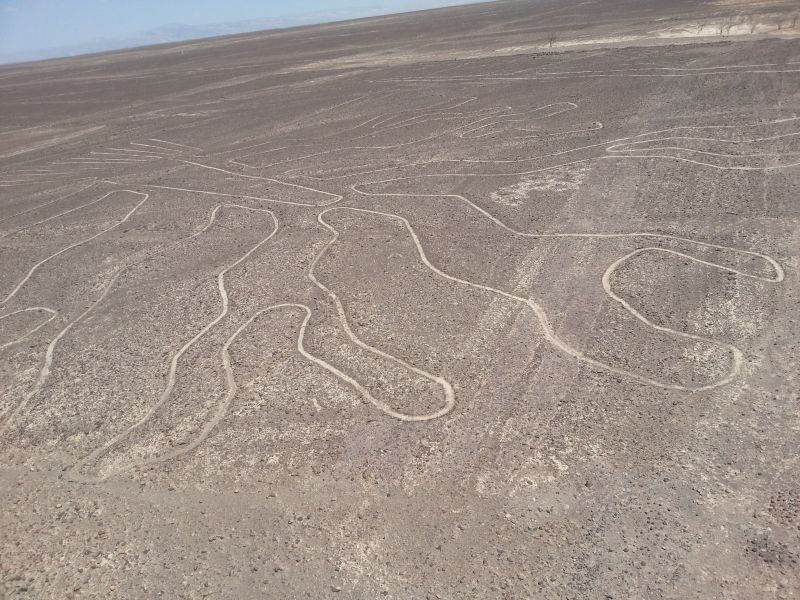 Nazca lines in the desert 纳斯卡沙漠的地画