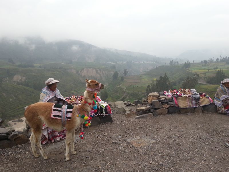 Souvenir vendors at the Canyon 科卡大峡谷摆卖纪念品