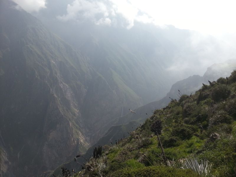 Colca Canyon 科卡大峡谷