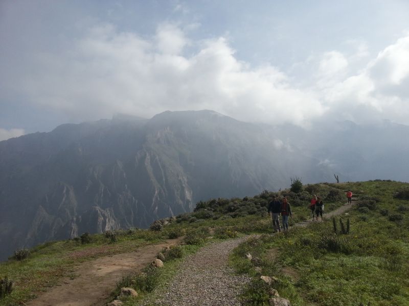 Right at the top of the mountain, a walk to view the giant condors 在科卡峡谷山顶前往观望秃鹰点