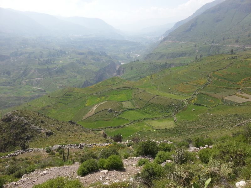 Views to the Colca Canyon 科卡大峡谷景观