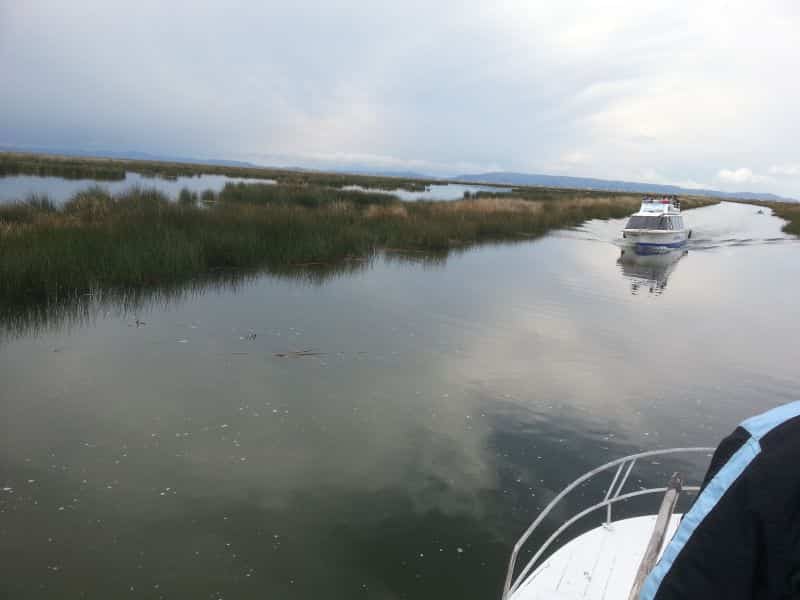 Boat cutting through the reed on the lake 在湖中芦苇中开出水道