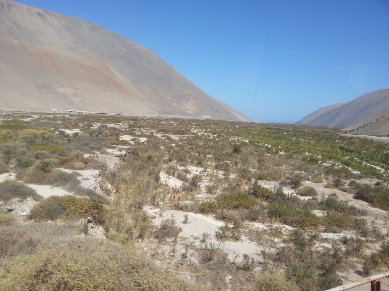 Desert landscape on the way to Iquique 到伊基克一路沙漠地貌