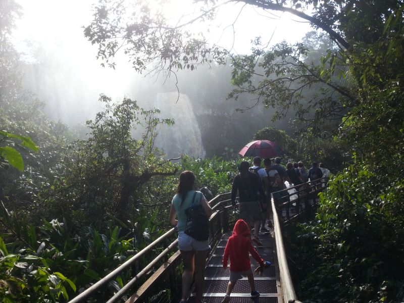 Iguazu Falls in midst of thick vegetation 伊瓜苏茂林中瀑布