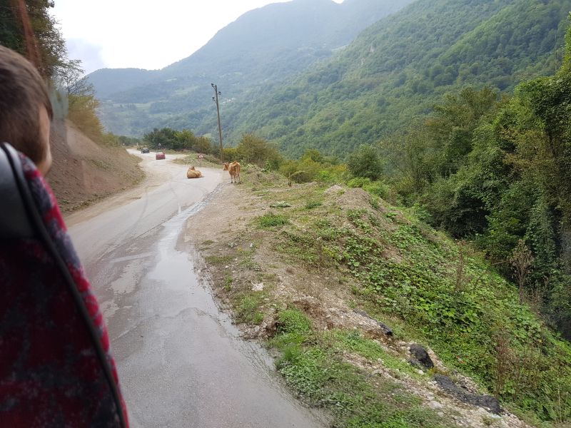 Mountainous road from Sarajevo to Montenegro 往黑山的山路