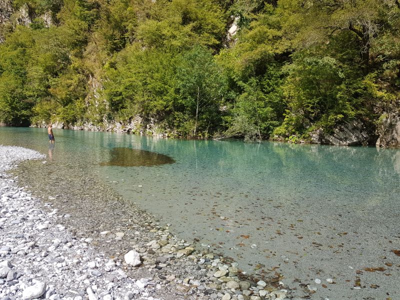 A film of green on the crystal clear water 清澈绿水