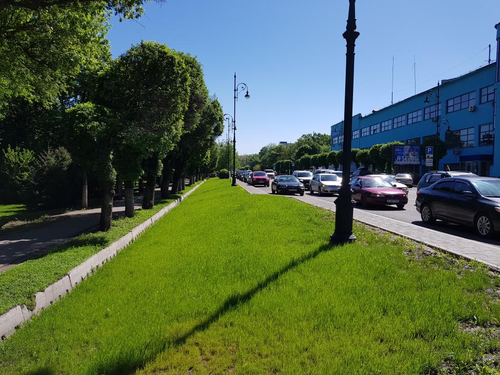 Parklike environment everywhere 绿树陪伴的街道