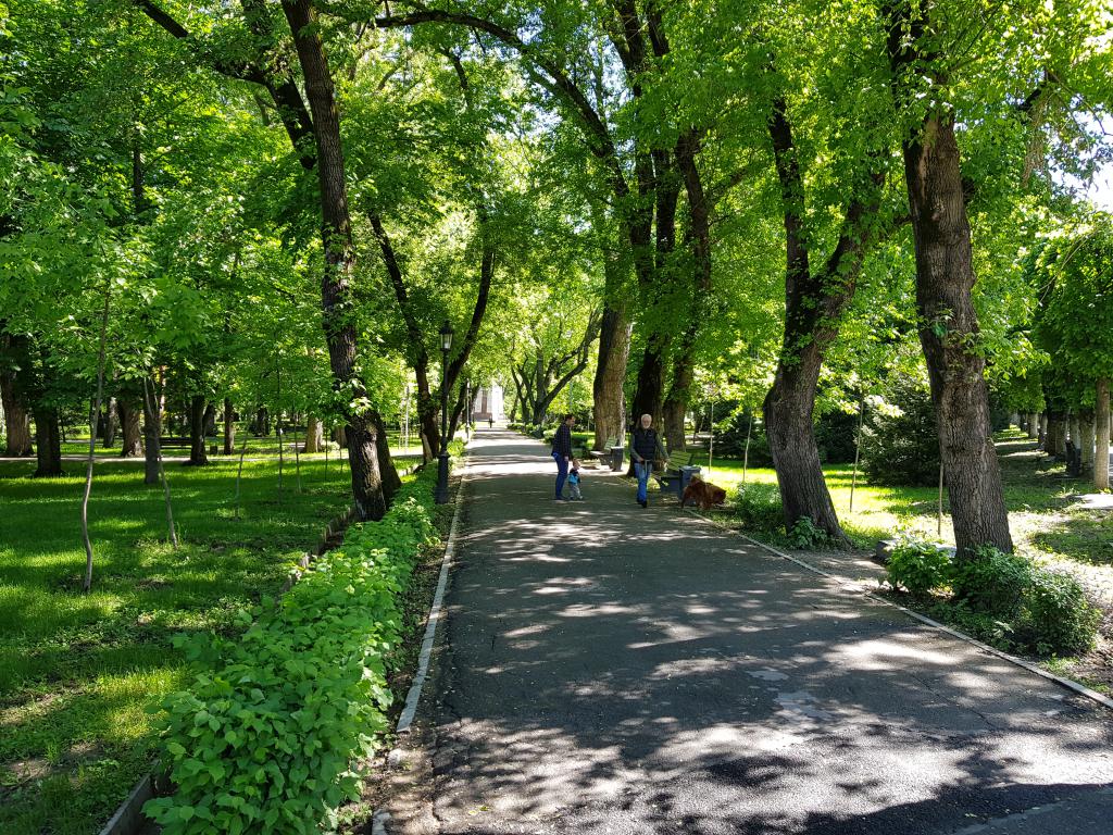 Walking street cutting across the park 绿林走出的行人道