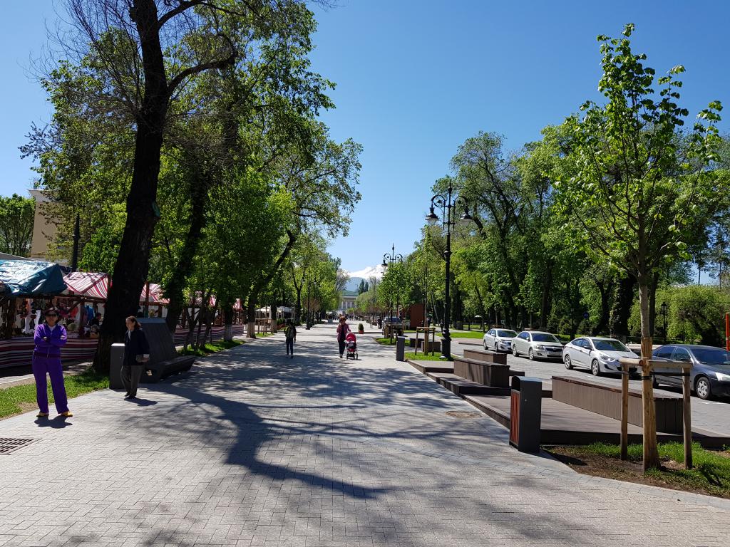 Broad walk in a park surrounding 宽阔行人道