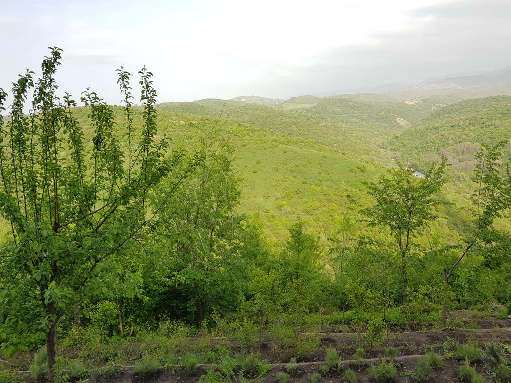 View from atop Kok Tobe - green rolling hills  Kok Tobe 山顶看起伏群山风景