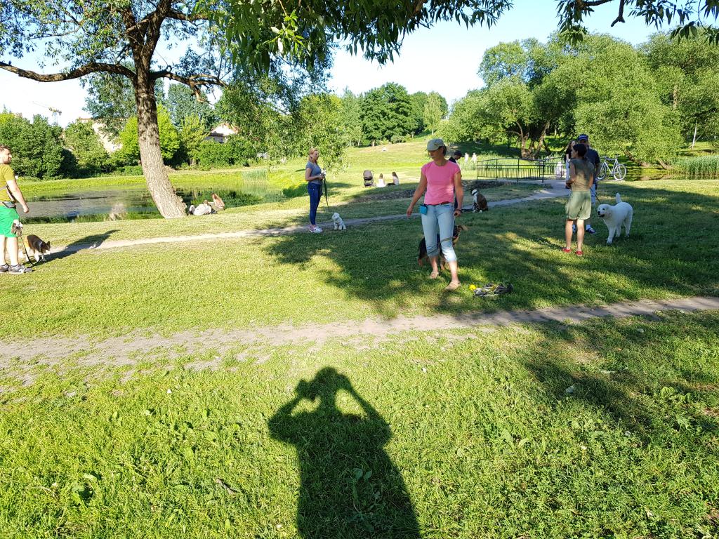 Owners and their dogs gathering in the park, Vilnius 狗主们和宠物在公园聚会交流