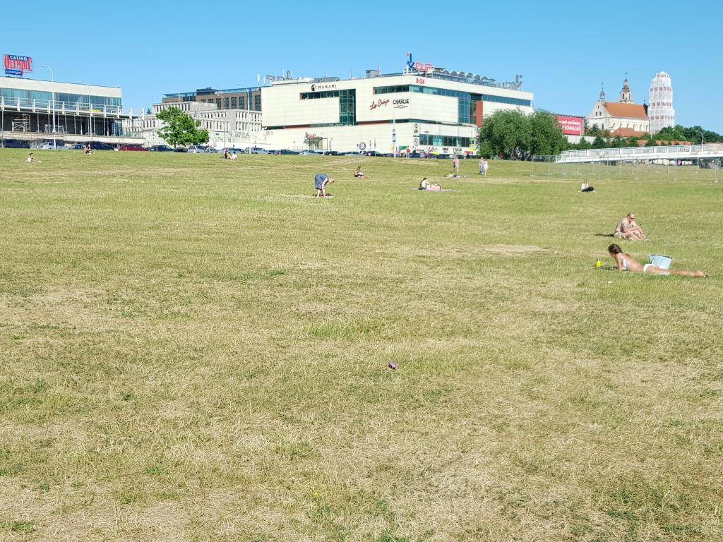 Big lawn area next to the river for sunbathers, Vilnius 市中心河岸绿茵上人们野餐日光浴