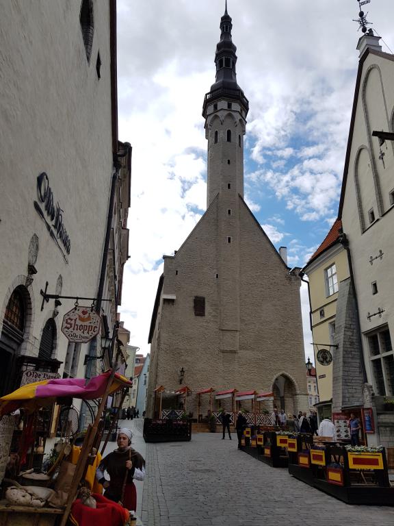 Gothic Tallinn town hall built in 13th century, in Old Town 塔林老城内13世纪市政厅