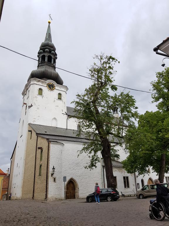 St. Mary Cathedral 圣玛丽教堂