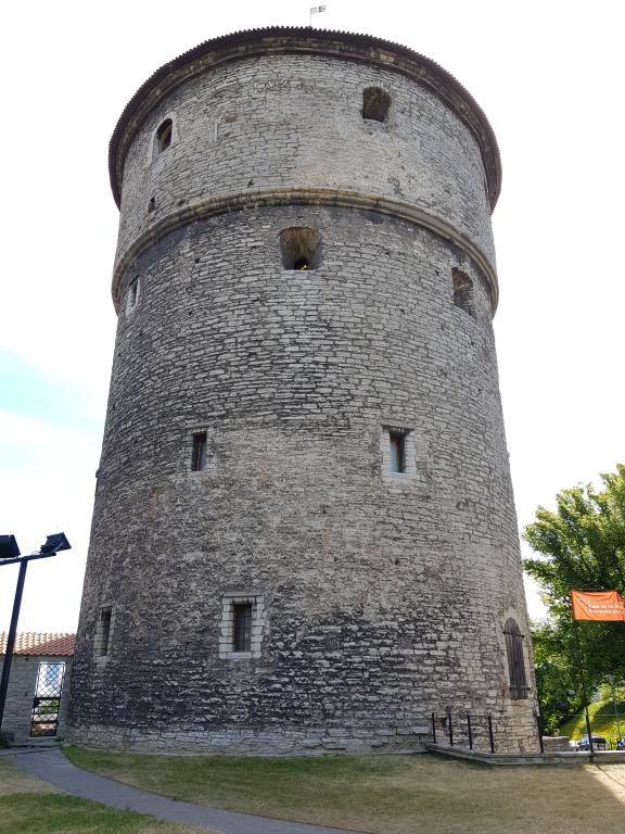 Old tower of Tallinn 塔林老塔