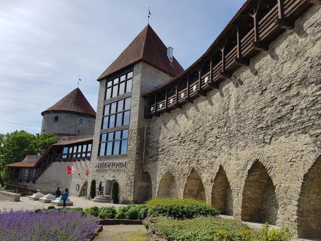 Tallinn Old Town's medieval walls and towers 塔林中世纪城塔和墙