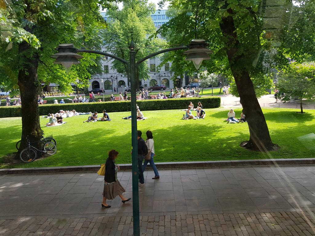 Catching the sun on the grass, Helsinki 草地上晒太阳